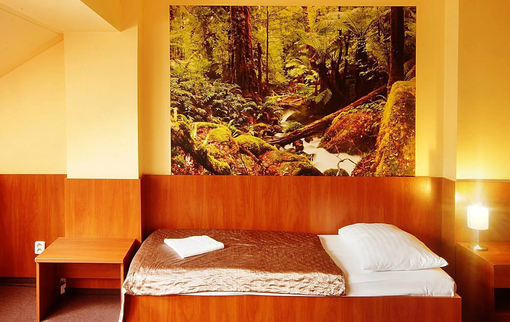 Hotel Zlata Vaha Prag 3*,